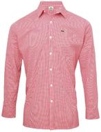 Lacoste Hemd 4 kleuren Lange Mouwen XS,S,M,L,XL,2XL,3XL, Autres couleurs, Lacoste, Envoi, Neuf