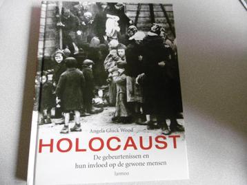 Holocaust, de gebeurtenissen en hun invloed op gewone mensen