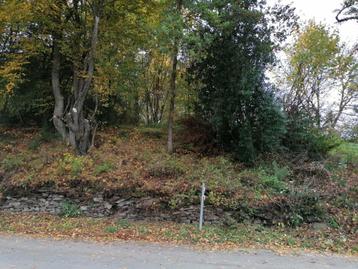Terrain à bâtir à Bra-sur-Lienne, Immo
