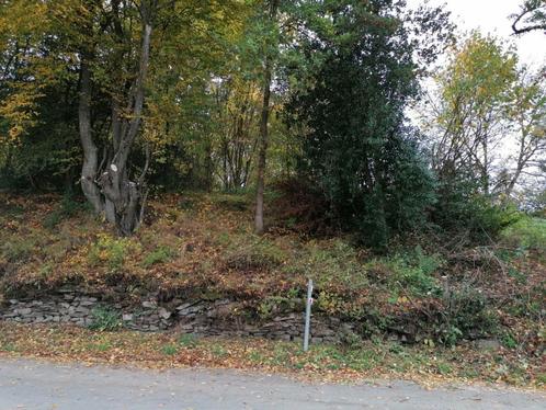 Terrain à bâtir à Bra-sur-Lienne, Immo, Gronden en Bouwgronden