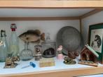 Brocante/ rariteitenkabinet / wunderkammer, potk, zie foto’s, Antiek en Kunst, Ophalen