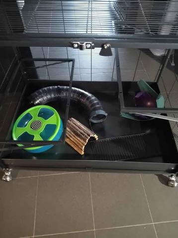 kooi beschikbaar voor biedingen