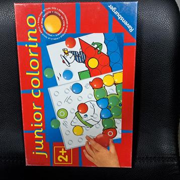 Junior colorino  beschikbaar voor biedingen