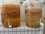 Kombucha scoby’s, Diversen, Levensmiddelen, Ophalen