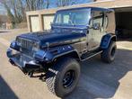 Jeep Wrangler YJ, Auto's, Jeep, 4000 cc, Blauw, Leder, Bruin