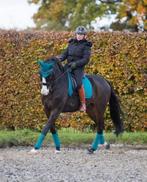 LeMieux Suede dressuur dekje Peacock SALE!, Dieren en Toebehoren, Ophalen of Verzenden