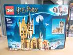 Lego Harry Potter: Hogwarts Astronomy Tower 75969, Overige typen, Ophalen of Verzenden, Zo goed als nieuw