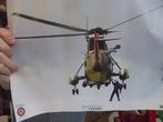 poster Sea King, Enlèvement ou Envoi, Armée de terre, Photo ou Poster