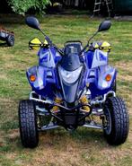 Quad  SMC RAM 250 twin, Motoren, 233 cc, 2 cilinders, 12 t/m 35 kW