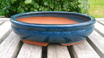 Bonsai bloempot blauw keramiek 25,5cm beschikbaar voor biedingen