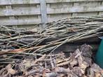 Boomstronk overig groenafval, Tuin en Terras, Ophalen, Gebruikt, 100 tot 200 cm, 50 cm of meer