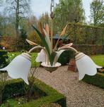 lusters, Ophalen, Zo goed als nieuw, Glas