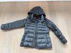 Winterjas, Kleding | Dames, Jassen | Winter, Massimo Dutti, Maat 42/44 (L), Ophalen of Verzenden, Zo goed als nieuw