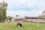 Stallen te huur, Dieren en Toebehoren, Stalling en Weidegang, Weidegang, 4 paarden of pony's of meer
