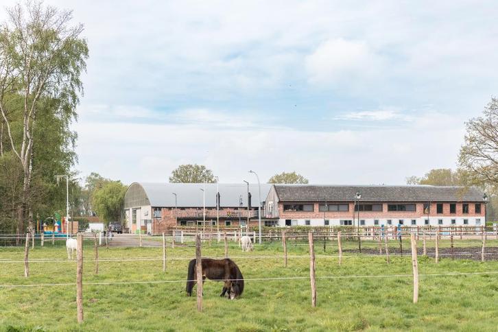 Stallen te huur, Dieren en Toebehoren, Stalling en Weidegang, Stalling, Weidegang, 4 paarden of pony's of meer