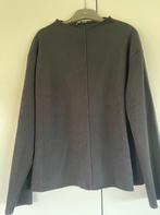 Trui (M) Zara, Kleding | Dames, Maat 38/40 (M), Ophalen of Verzenden, Gedragen, Zara