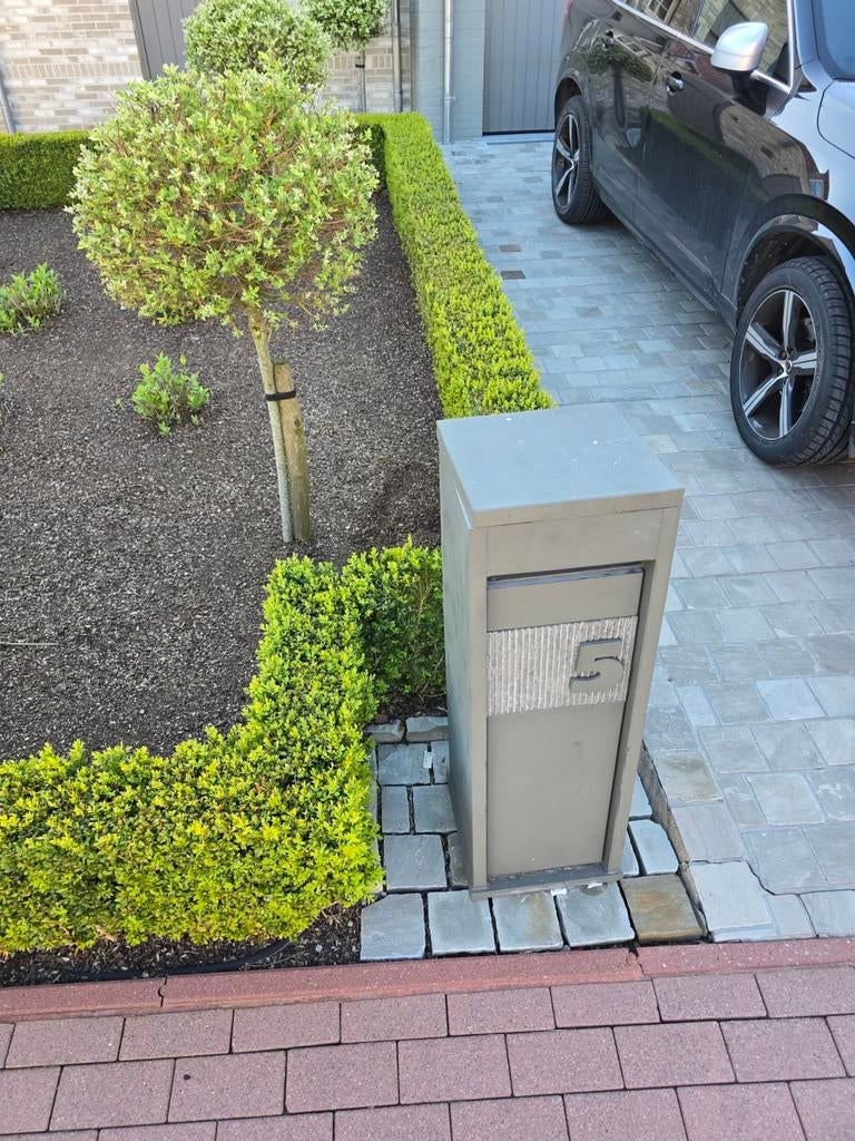 !!  Dringend gezocht  !!, Enlèvement