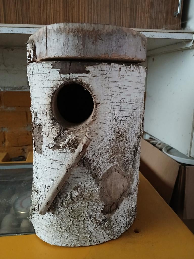 Broedblok grote parkiete stuks beschikbaar 25 euro per stuk, Dieren en Toebehoren, Ophalen