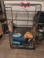 Cage à chinchilla 80x52 h:140, 90 cm ou plus, 75 à 110 cm, Cage, Enlèvement