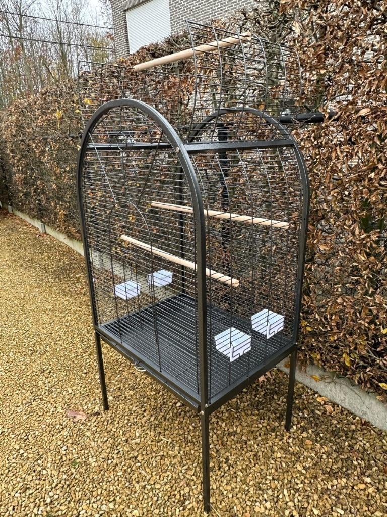 Papegaai / parkieten kooi Reno, Dieren en Toebehoren, Vogels | Parkieten en Papegaaien, Papegaai