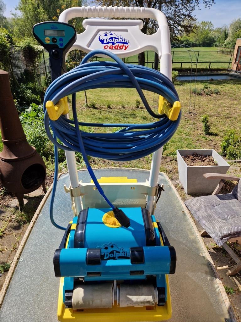 Robot aspirateur de piscine Dolphin Dynamic Plus, Jardin & Terrasse, Accessoires de piscine, Enlèvement