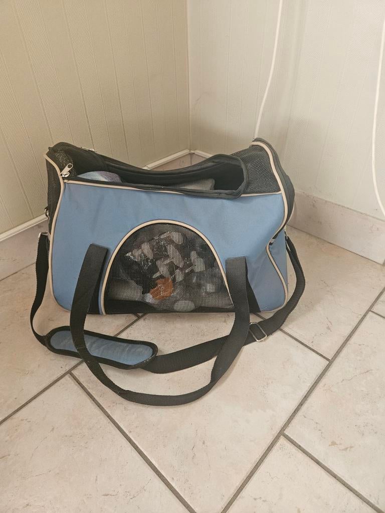 Hondjes tas, Ophalen