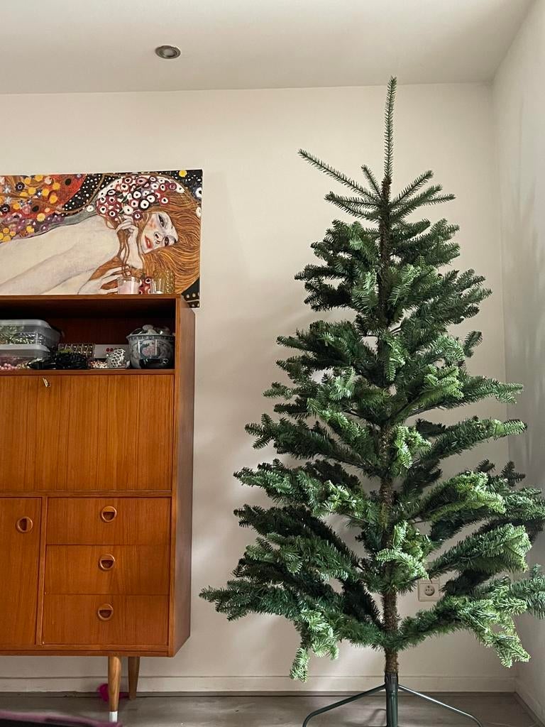 Gratis kerstboom, Ophalen, Zo goed als nieuw