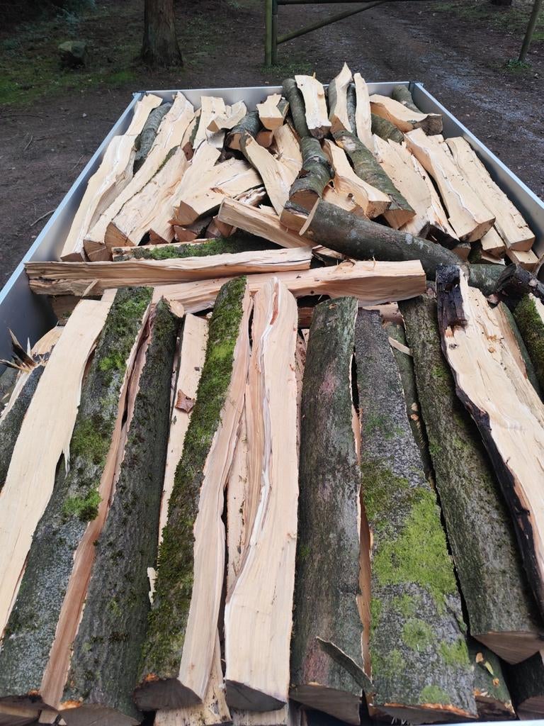Bois de chauffage hêtre vert, Jardin & Terrasse, Bois de chauffage, Enlèvement, Hêtre