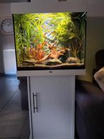 Complete juwel lido 120L  instapklaar. All in., Dieren en Toebehoren, Ophalen