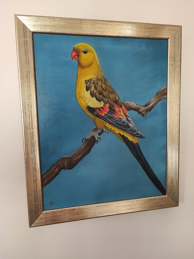 3 originele handgeschilderde schilderijen., Parkiet