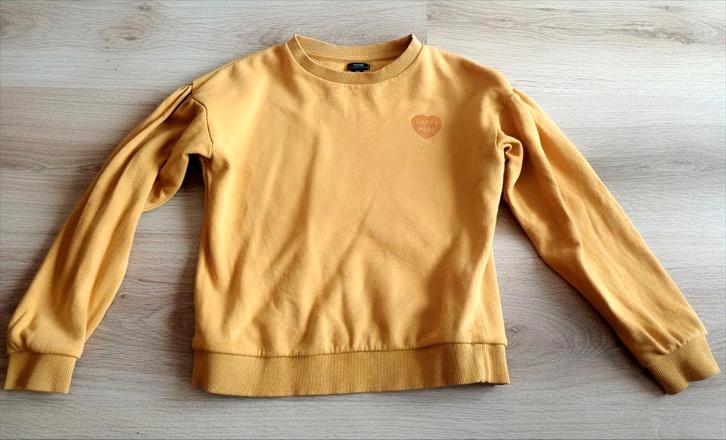 Sweat fille 10 ans, Enfants & Bébés, Vêtements enfant | Taille 140, Utilisé, Fille, Pull ou Veste, Enlèvement ou Envoi