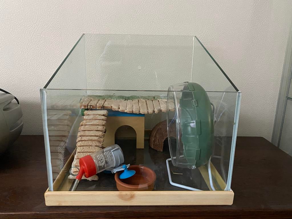Kleine glazen dwerghamsterkooi met accessoires, Ophalen, Zo goed als nieuw, Hamster