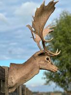 Damhert opgezette kop groot, Ophalen