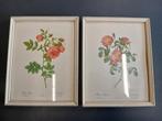 2 witte kaders met prent rozen., Enlèvement ou Envoi