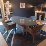 Table ovale  de jardin ou intérieur, Enlèvement, Comme neuf, Ovale, Synthétique