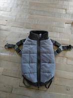 manteau et harnais pour petit chien, Enlèvement ou Envoi, Neuf, Manteau pour chien