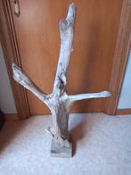 arbre perchoir pour perroquet, Enlèvement