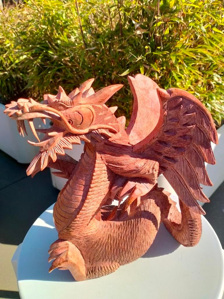 Chinese draak ., Ophalen