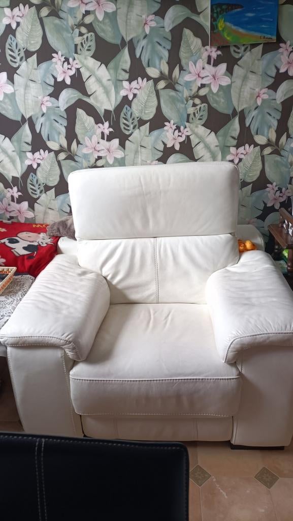 Fauteuil chapelle lez herlaimont, Cuir