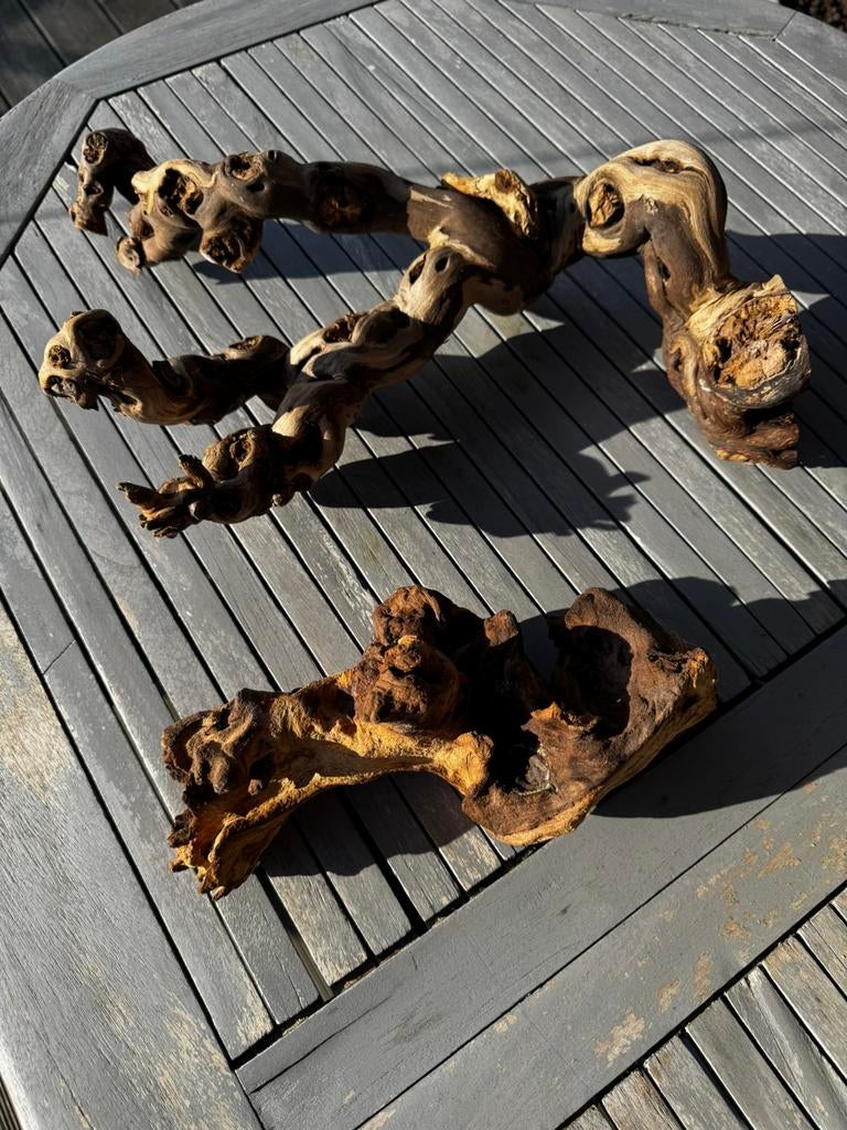 Décoration terrarium, Animaux & Accessoires, Enlèvement