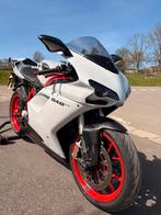 Ducati 848 EVO / carnet full / CARBONE / soupapes OK, Motos, Particulier