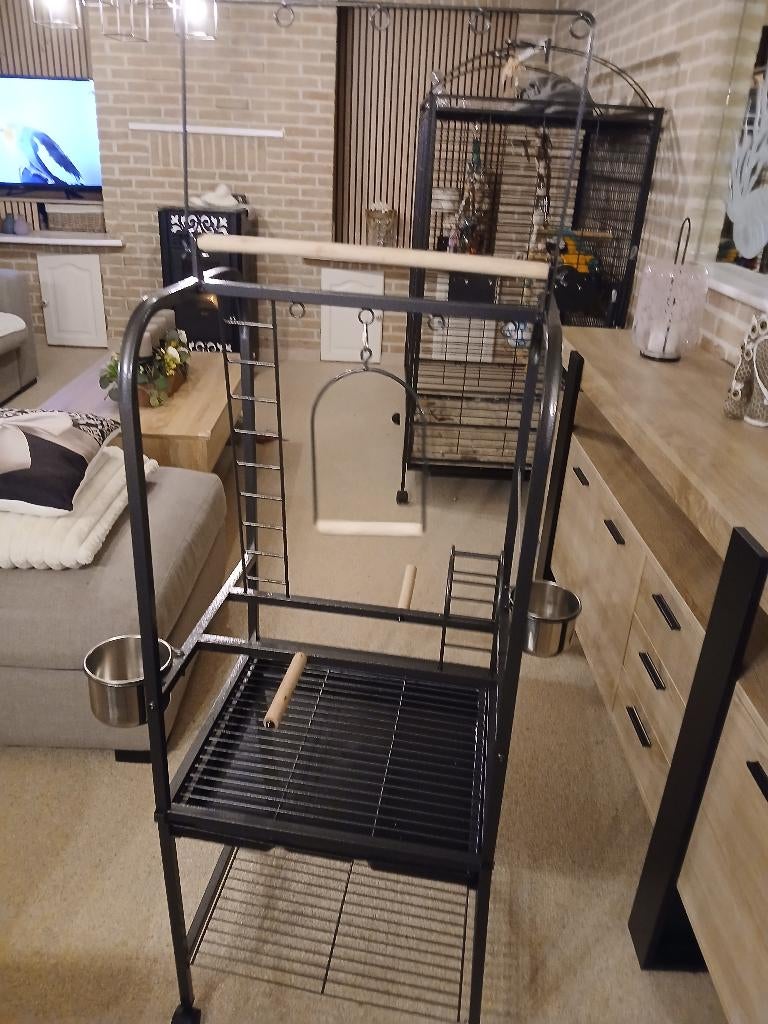 Scharrelzitje voor vogel, Dieren en Toebehoren, Vogels | Kanaries