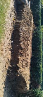 Gratis aarde, Dieren en Toebehoren, Ophalen