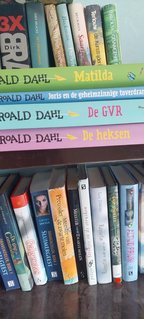 Roald Dahl lot boeken, Boeken, Ophalen of Verzenden
