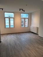 Gerenoveerde studio Krijgslaan voor 1 persoon, Immo, Gent