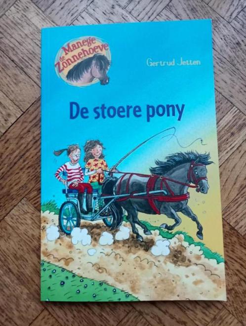 Gertrud Jetten: De stoere pony, Livres, Livres pour enfants | Jeunesse | Moins de 10 ans, Utilisé, Enlèvement ou Envoi