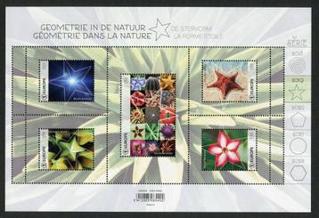 BL279 Postzegels Geometrie in de natuur de stervorm beschikbaar voor biedingen