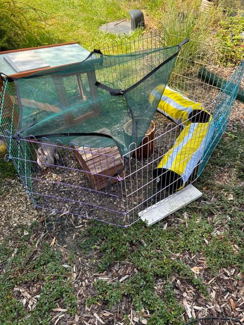 Konijnen hok met schade te koop, Dieren en Toebehoren, Konijnen