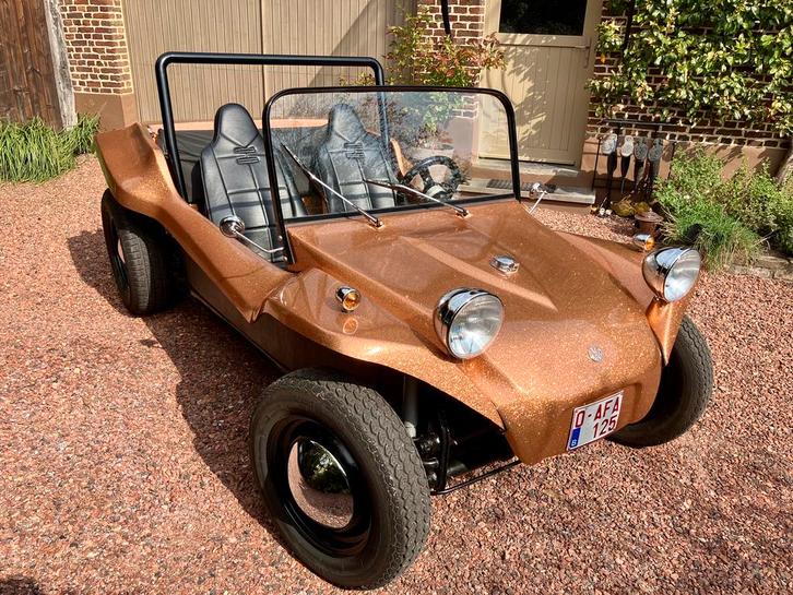 Volkswagen Buggy, Auto's, Oldtimers, Particulier, Volkswagen, Ophalen