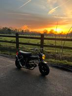 Lowrider dax, Fietsen en Brommers, Ophalen, 72 cc, 4 versnellingen, Klasse B (45 km/u)